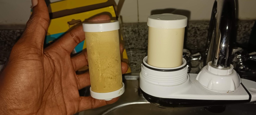 Grival filter, showing old/dirty element compared to a new/clean element.